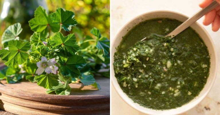 Common Mallow: A Miracle Plant That Can Treat A Variety of Ailments And Conditions