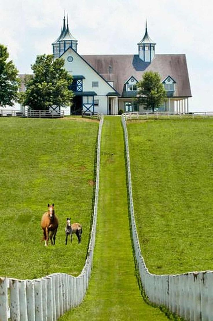 Elegant White Fence for Rolling Pastures