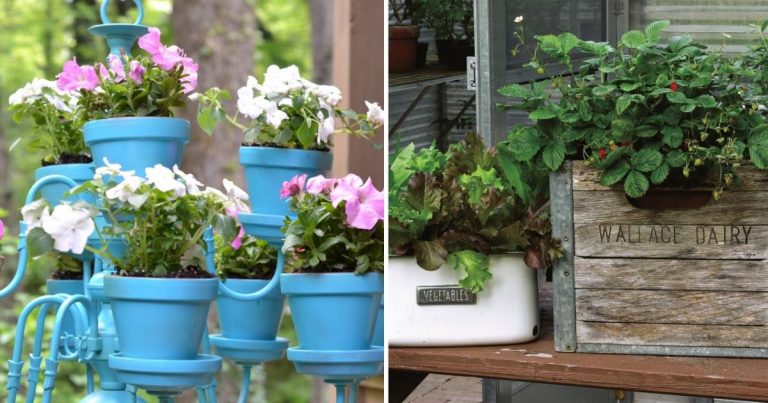 26 Creative And Inspiring DIY Garden Pot Ideas To Beautify Your Outdoor Space