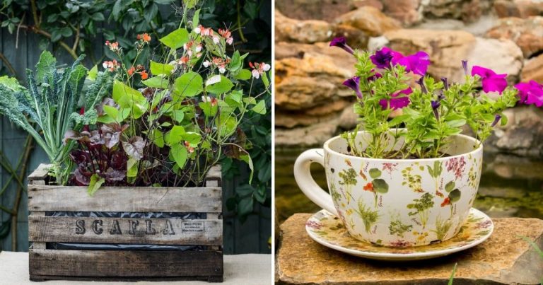 20 Whimsical Container Gardening Ideas For A Playful Garden