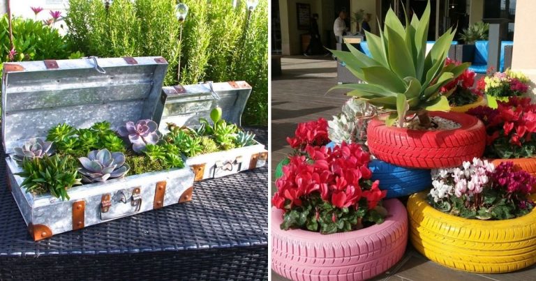 21 Creative Garden Ideas Using Recycled Household Items