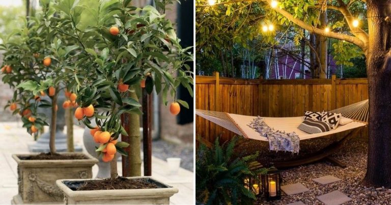 35 Inspiring Side Yard Ideas To Maximize Your Outdoor Area