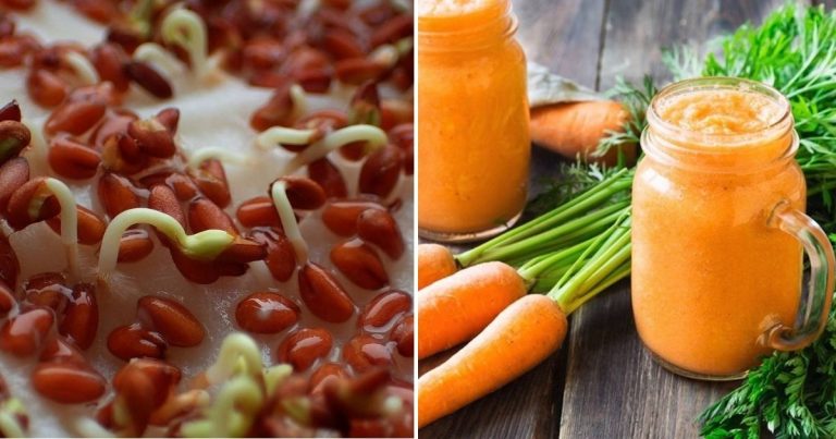 9 Incredible Ways Carrot Juice Benefits Your Garden