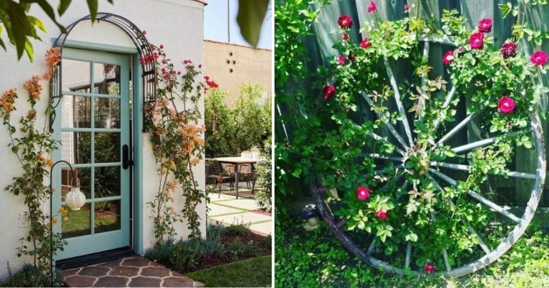 35 Trellis Ideas To Save Space And Add Charm To Your Garden