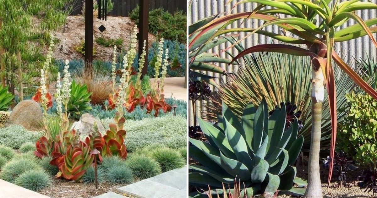 30 Desert Landscaping Ideas To Transform Your Dull Yard Into An Oasis