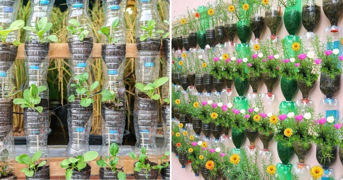 How to Make Your Own Vertical Garden And Care For Them