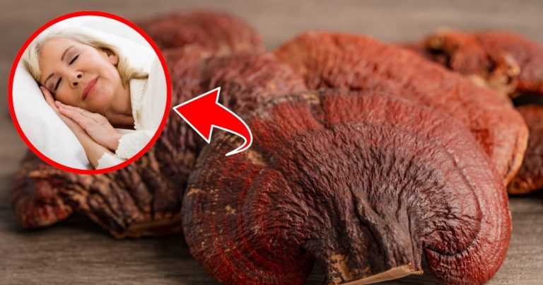 Unlock the Power of Reishi Mushrooms: 10 Proven Benefits and How to Use Them