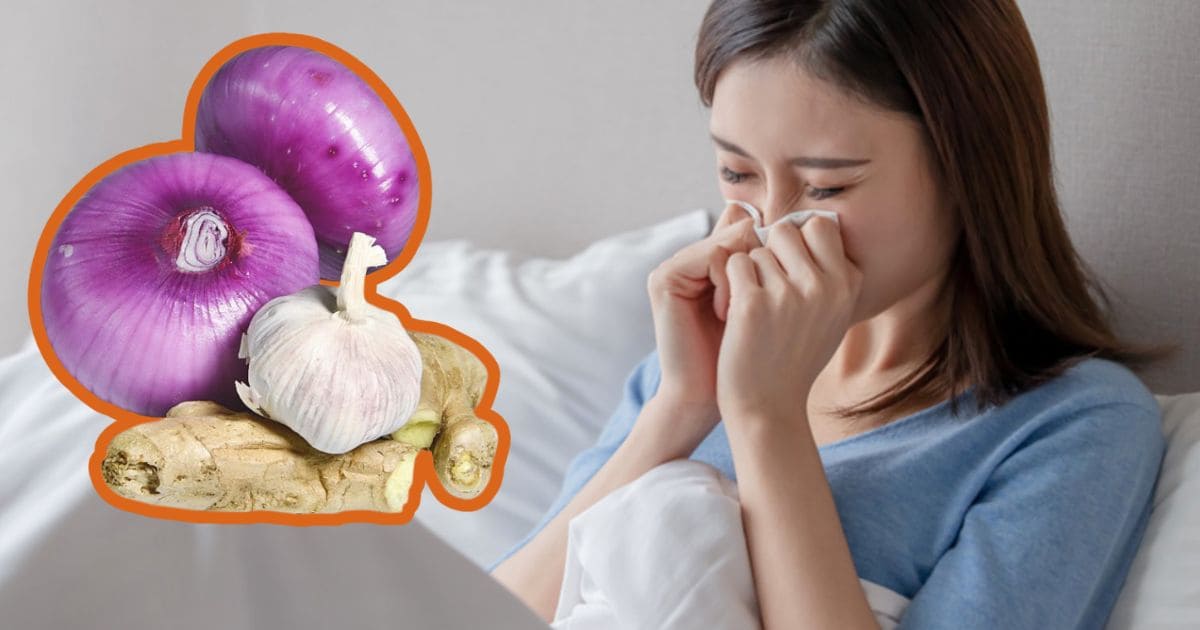 What Happens When You Store A Big Onion, Garlic, and Ginger In the Right Way