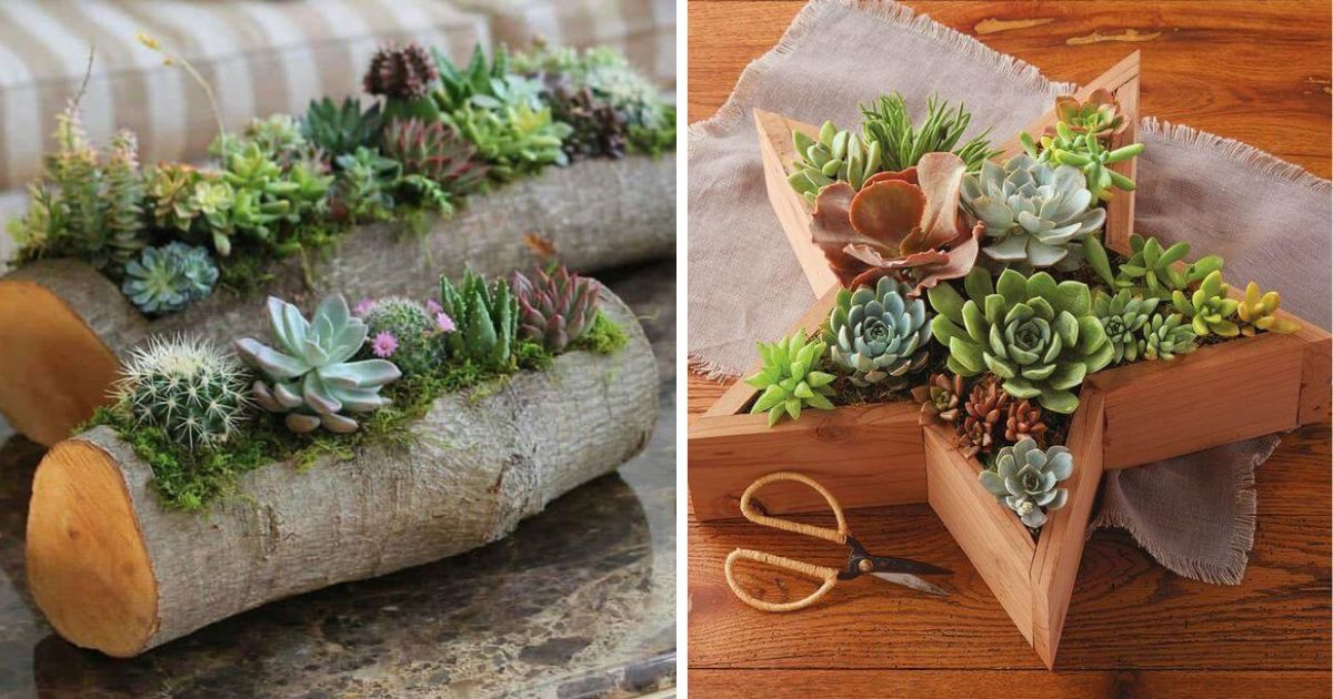 Amazing DIY Cactus And Succulent Dish Gardens