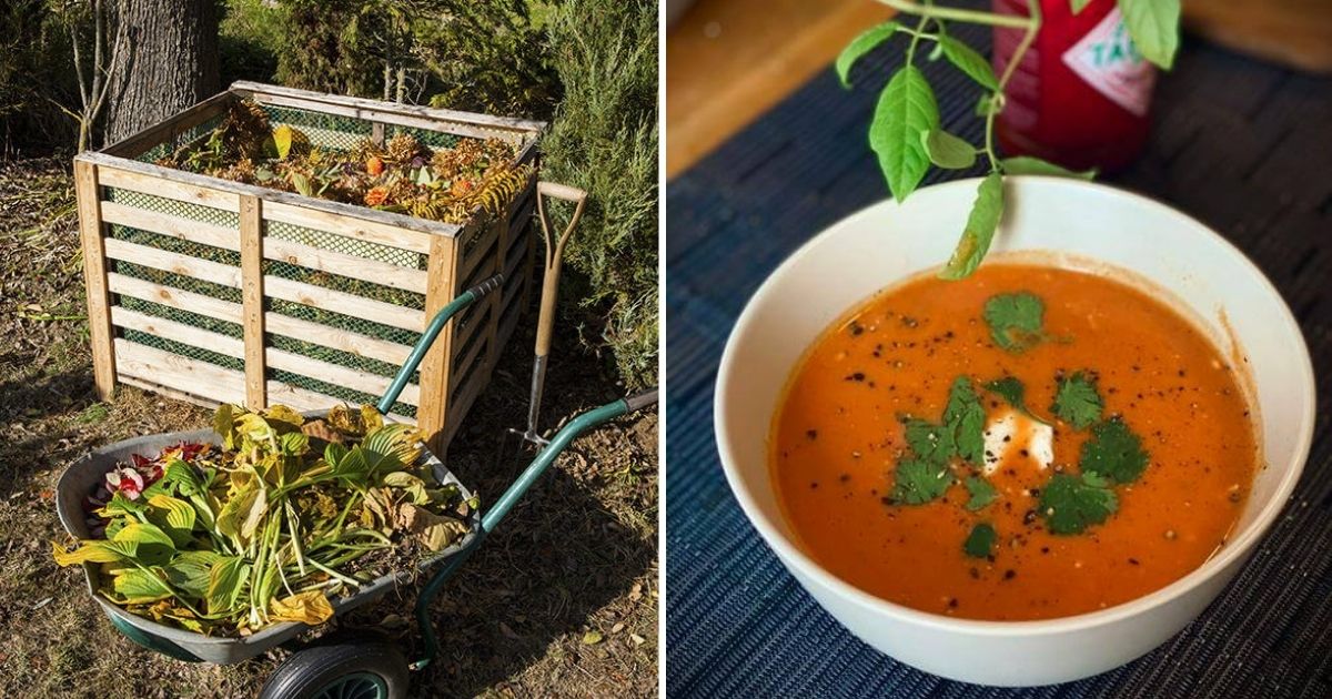 8 Amazing Tomato Leaf Uses