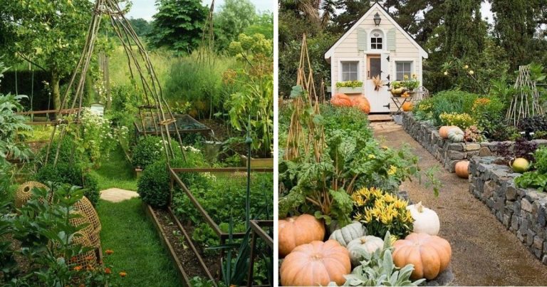 30 Amazing Vegetable Garden Ideas In Your Backyard