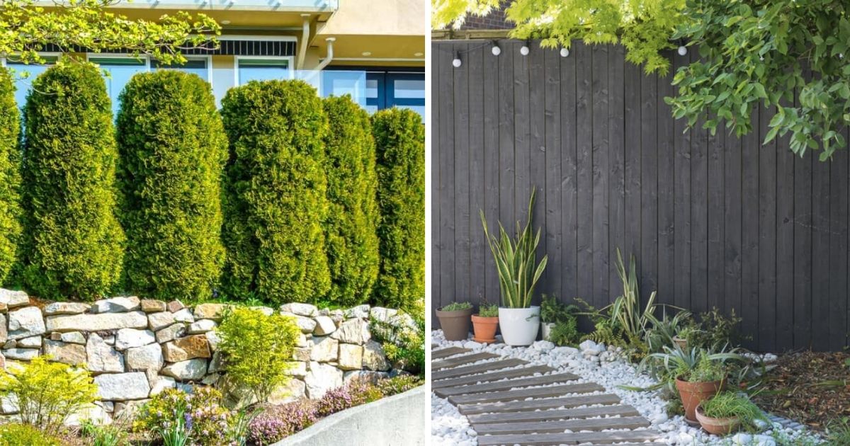 33 Beautiful Green Fence Line Landscaping Ideas