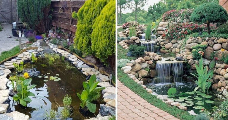 28 Best Beautiful Water Garden Ideas