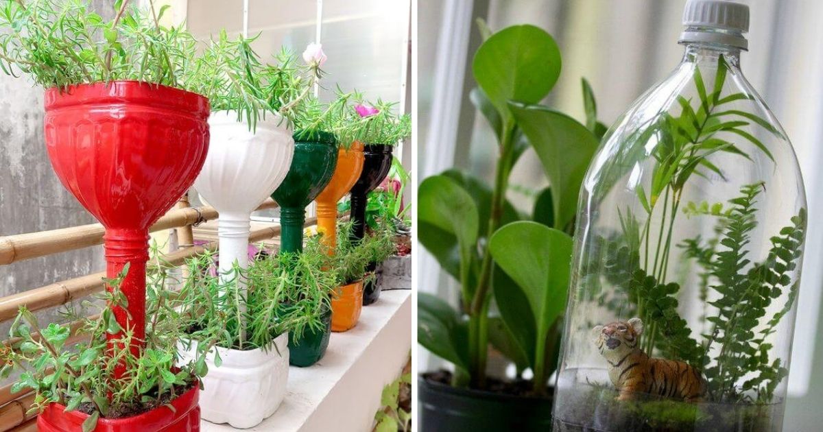 19 Brilliant DIY Bottle Garden Ideas