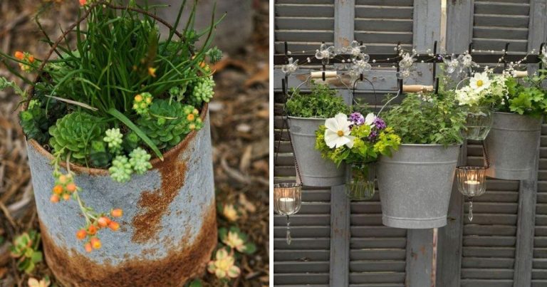 24 Brilliant DIY Bucket Ideas For Your Garden