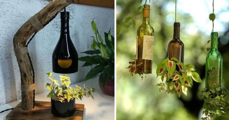 Brilliant Glass Bottle Planters You Can Make Easily At Home