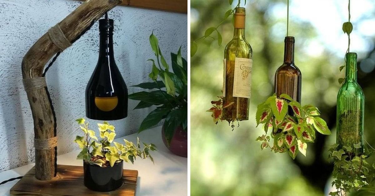 Brilliant Glass Bottle Planters You Can Make Easily At Home