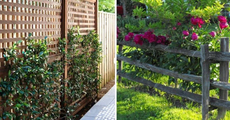 28 Cheap DIY Garden Privacy Screen Ideas To Keep Neighbors From Snooping