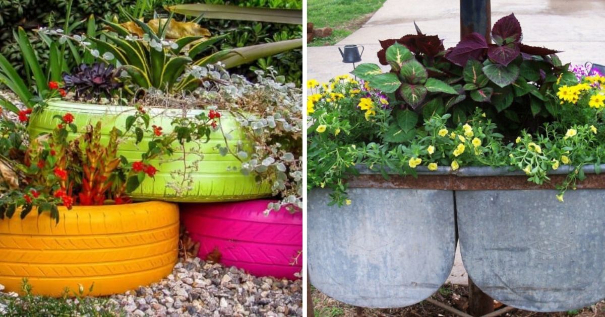 19 Cheap and Unique Garden Containers