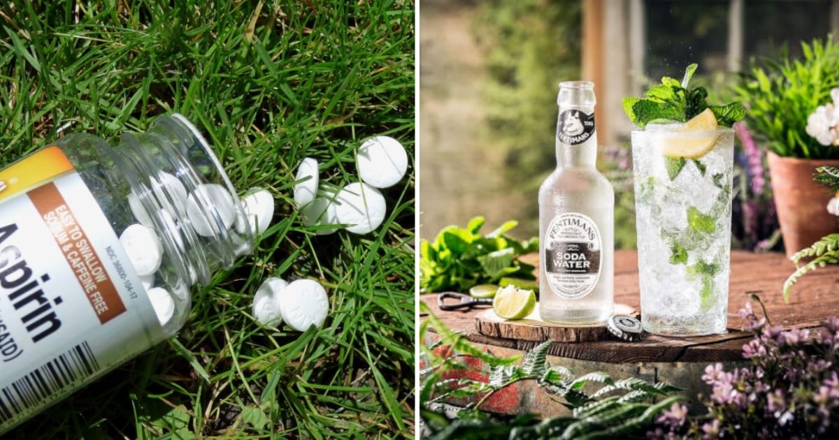 13 Clever Gardening Hacks To Help Your Plants Grow Healthy