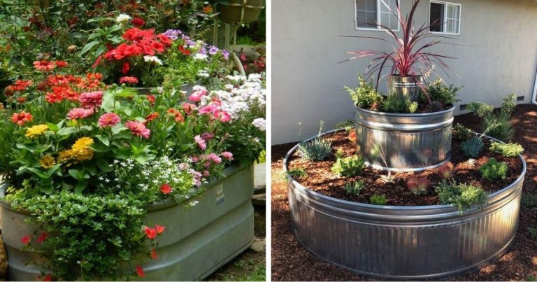 20 Clever Ways To Use Stock Tanks And Galvanized Tubs In Backyard