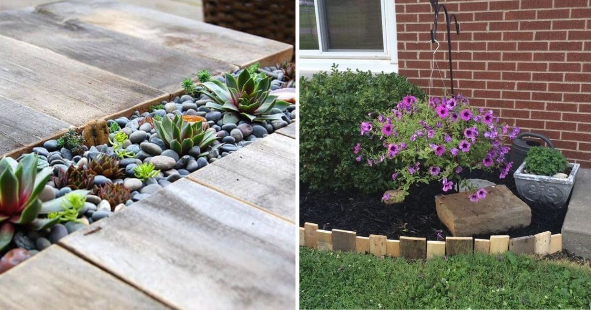20 Creative And Easy Flower Border Ideas
