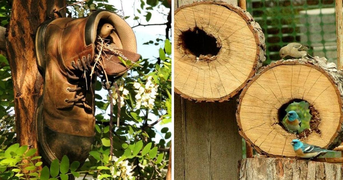 22 Creative Birdhouse Ideas That You Can Make Easily