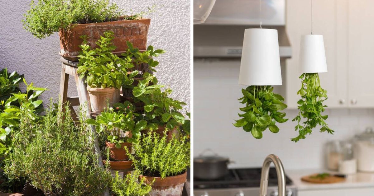 22 Creative Herb Garden Design Ideas