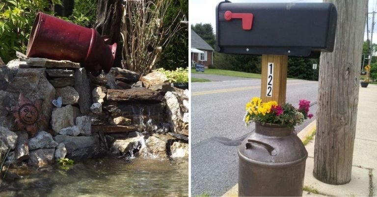 20 Creative Milk Can Garden Ideas