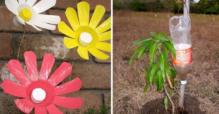 21 Creative Plastic Bottle Ideas For Garden And Backyard