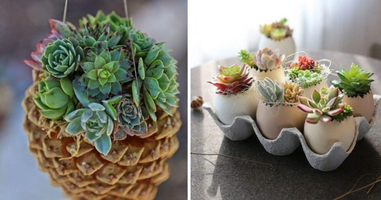 22 Creative Recycled DIY Succulent Planter Ideas
