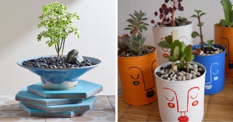 19 Cutest Mini Garden Ideas For Desk