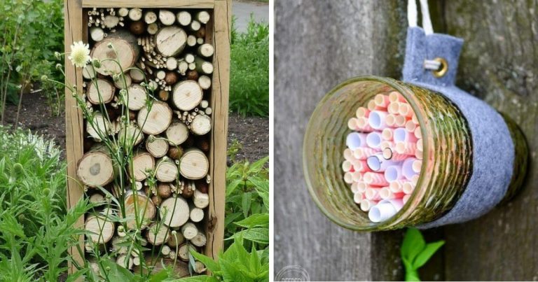 20 DIY Bug Hotel Ideas For Your Garden
