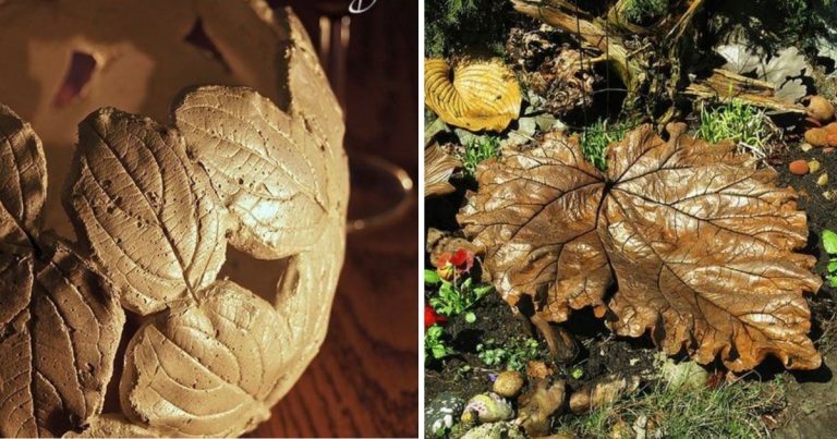 DIY Concrete Leaf Garden Projects