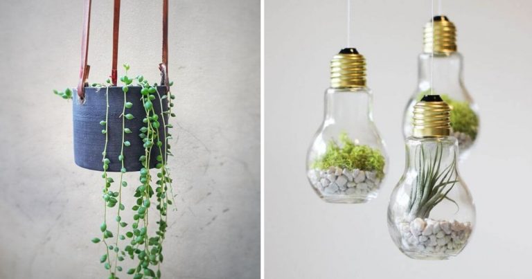 25 DIY Hanging Succulent Planter Ideas