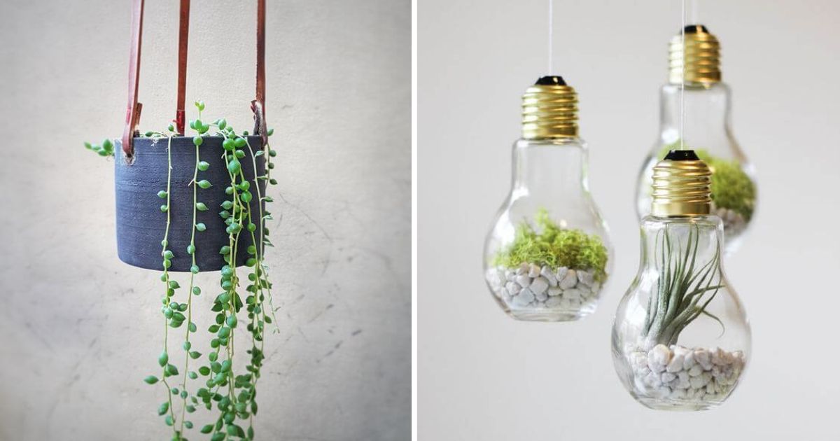 25 DIY Hanging Succulent Planter Ideas