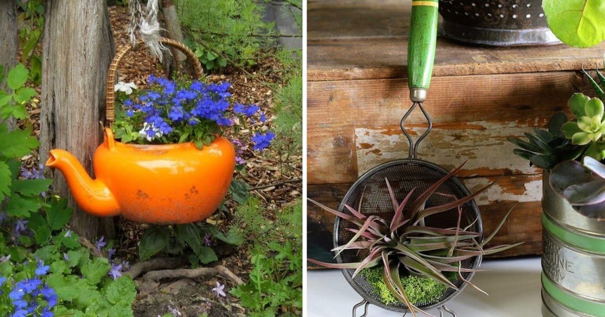 30 DIY Planters From Unused Kitchen Stuff