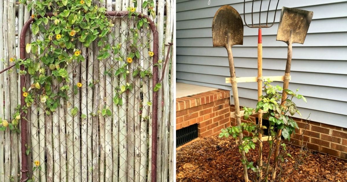 15 DIY Recycled Trellis Ideas For Your Garden