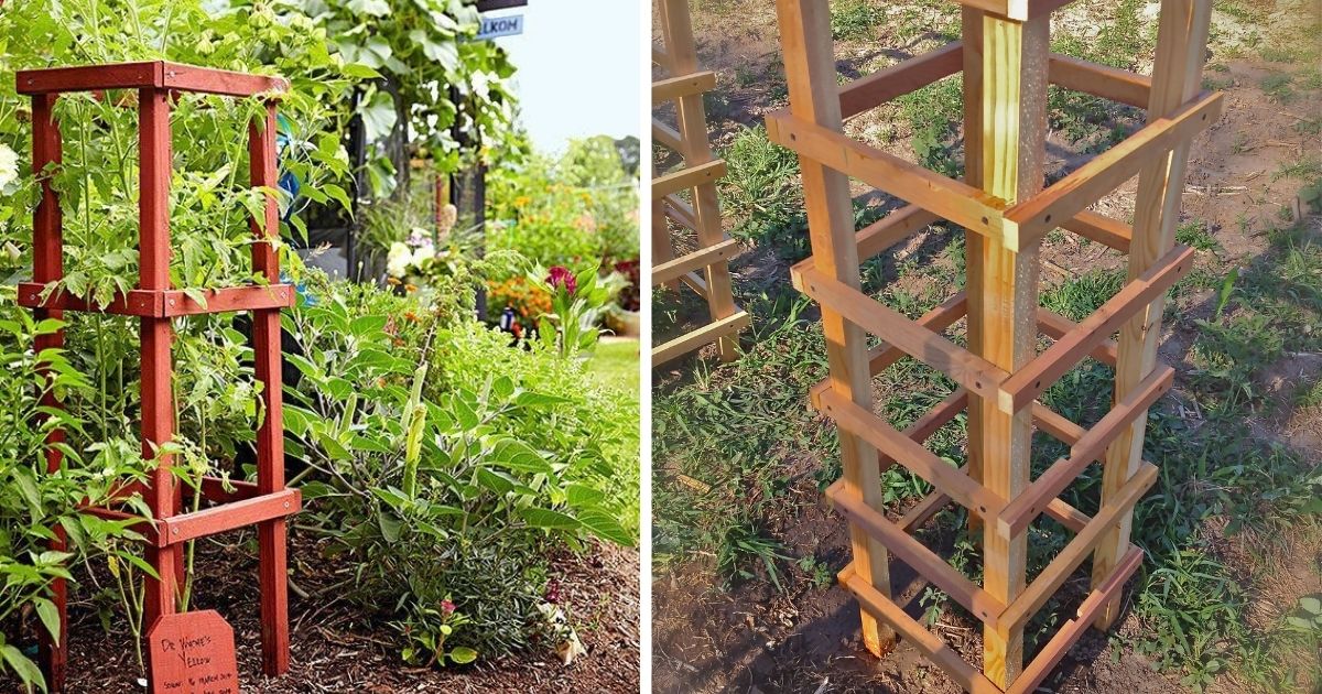 16 DIY Tomato Cage Ideas