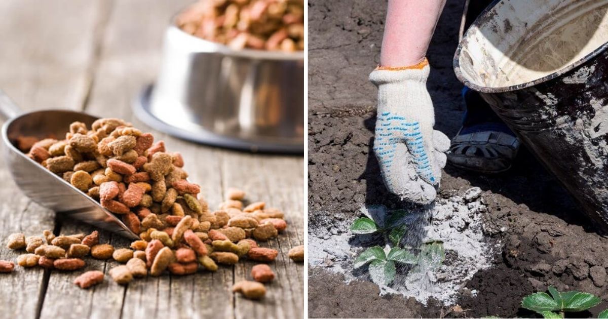 8 Easiest Natural Ways To Add Free Nutrients To Your Plants