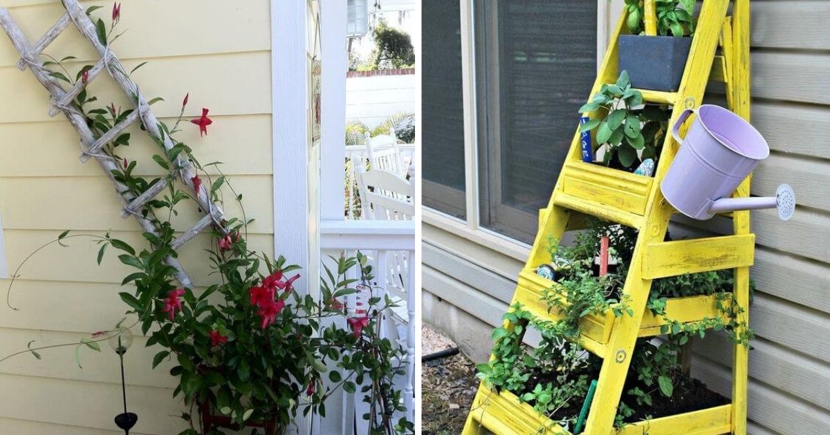 Easy DIY Garden Projects Made Out Of Old Ladders