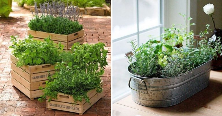 Easy DIY Herb Planter Ideas Everyone Can Do