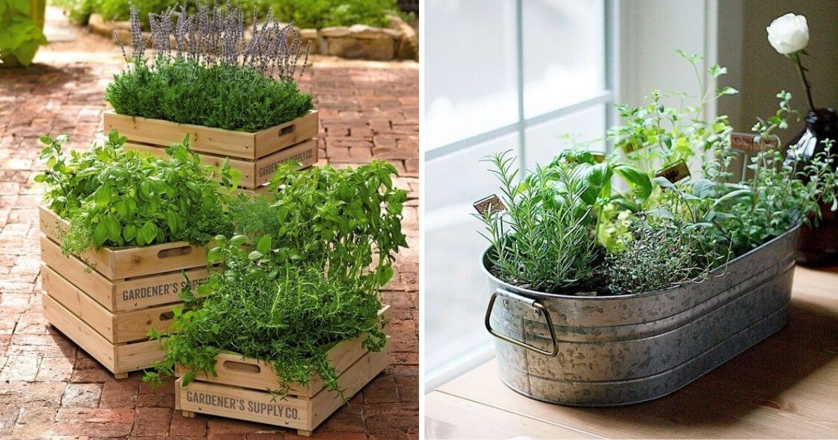 Easy DIY Herb Planter Ideas Everyone Can Do