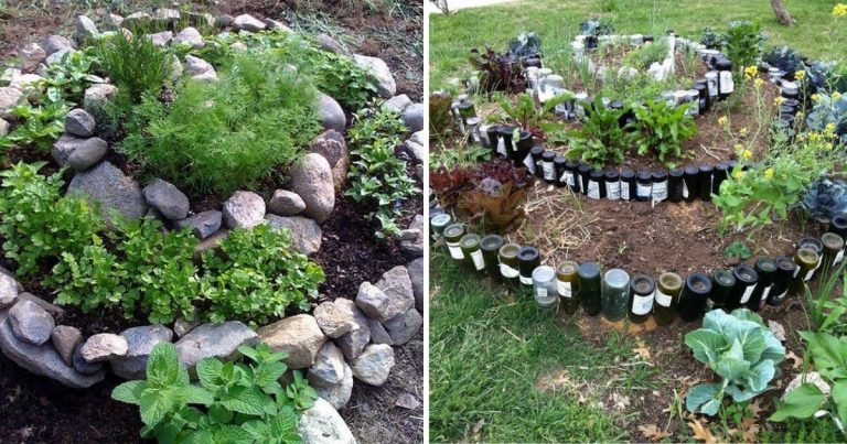 Easy-To-Make Spiral Garden Ideas