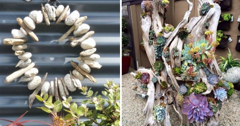 25 Easy Weekend Driftwood Garden Projects