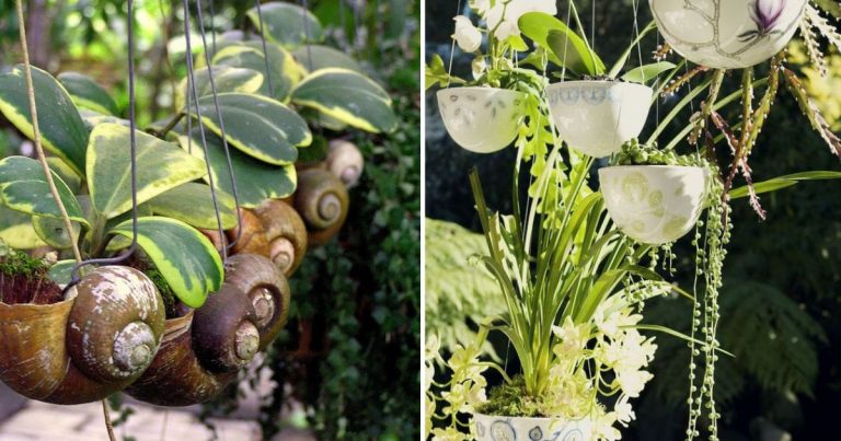 20 Fancy Recycled Hanging Planter Projects To Make At The Weekend