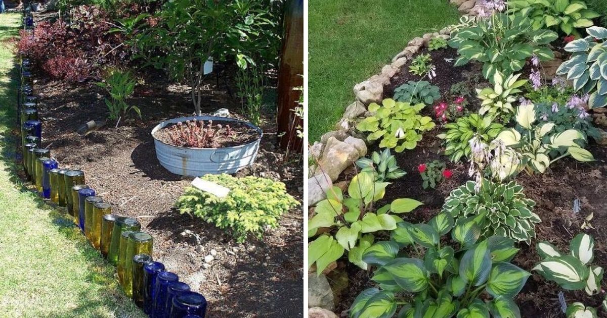 20 Garden Lawn Edging Ideas