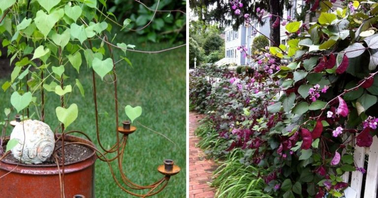 17 Genius DIY Garden Support Ideas