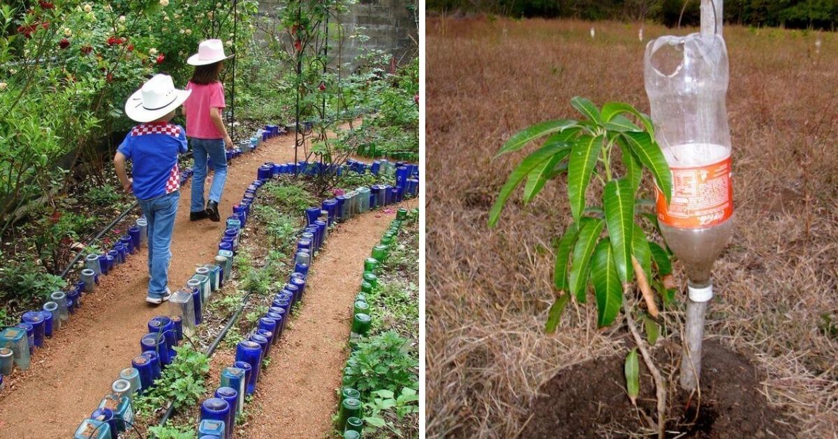 18 Genius Free Garden Hacks