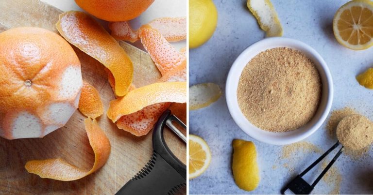 8 Incredible Citrus Peel Uses In Garden You Should Know